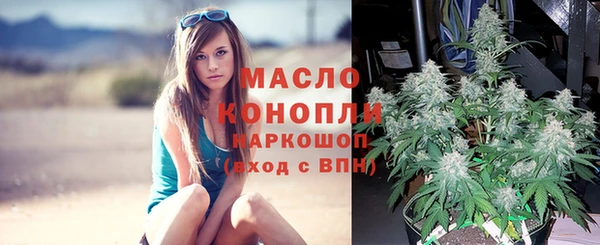 крисы Алексеевка