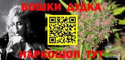 ПСИЛОЦИБИНОВЫЕ ГРИБЫ Краснодар