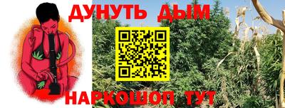 ПСИЛОЦИБИНОВЫЕ ГРИБЫ Краснодар