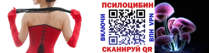 наркотики  blacksprut сайт  Галлюциногенные грибы мицелий  Сызрань 