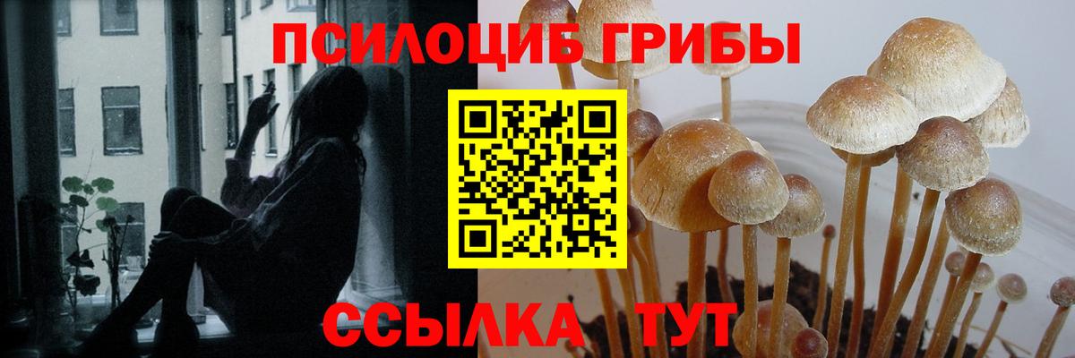 Галлюциногенные грибы MAGIC MUSHROOMS  Вход с VPN  Сызрань 